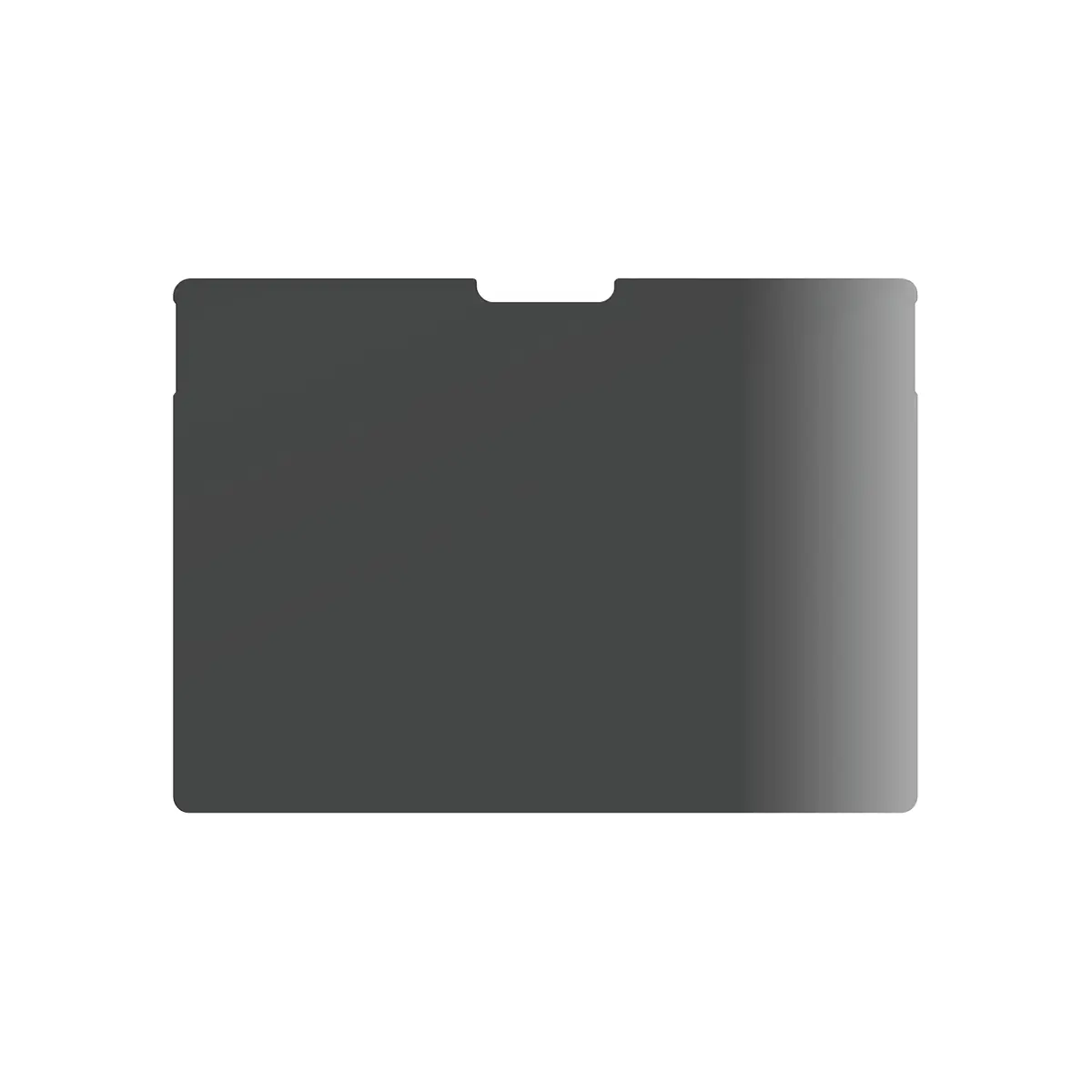 Privātuma ekrāna aizsargstikls PanzerGlass Microsoft Surface Pro 12" Photo 4
