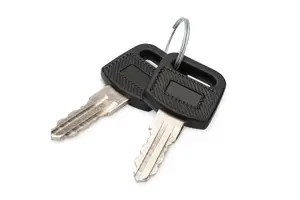 Locking key for wall-mounted enclosures DIGITUS DN-KEY-WM — Dynamic series, SOHO 10" & 19" series, charging cabinets (2 pcs)