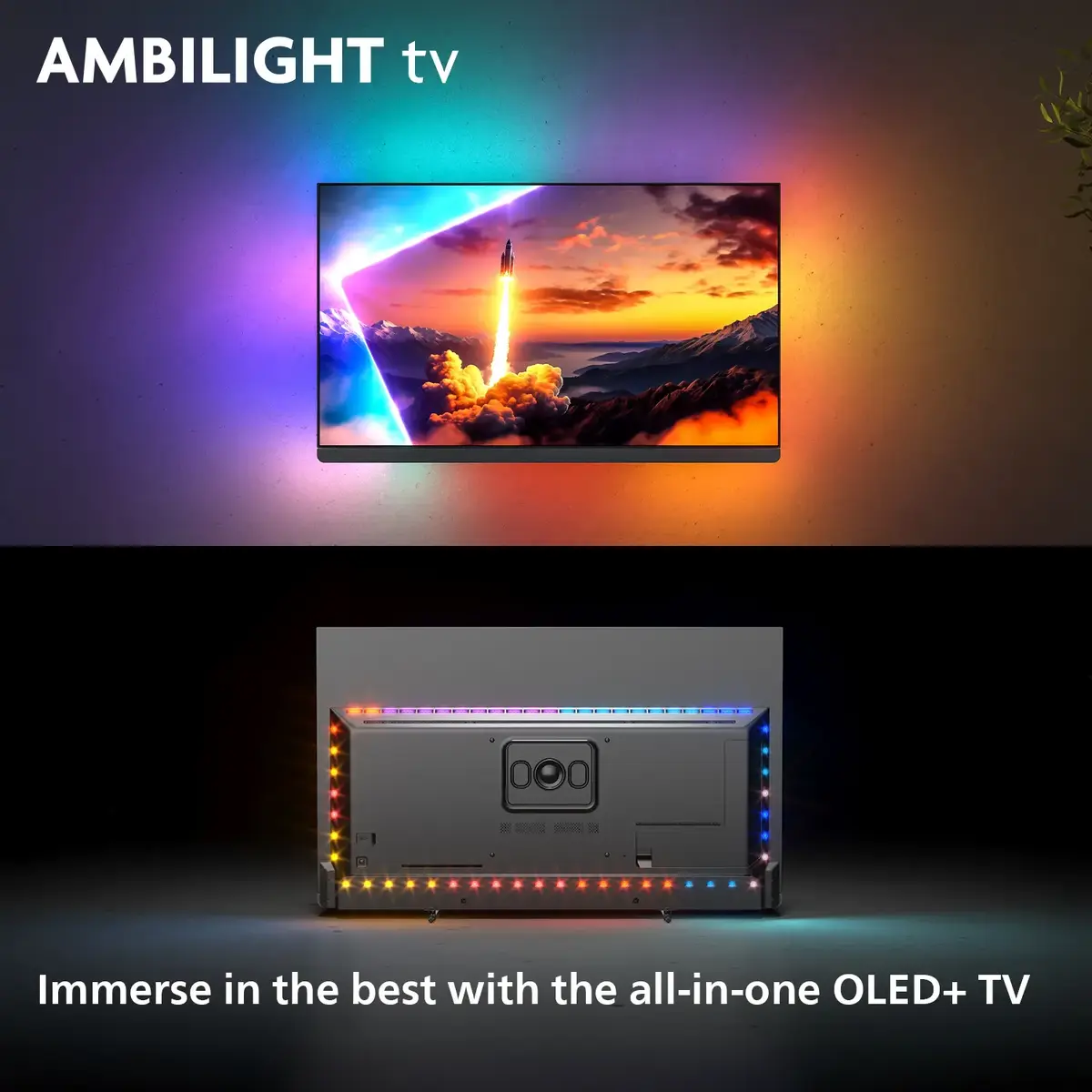 Television Philips 65OLED910/12 Photo 2