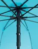 Зонт EuroSCHIRM Swing Liteflex ice blue Photo 4