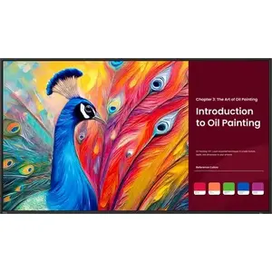 Профессиональный дисплей BenQ SH5504 55" 3840x2160 800 нит