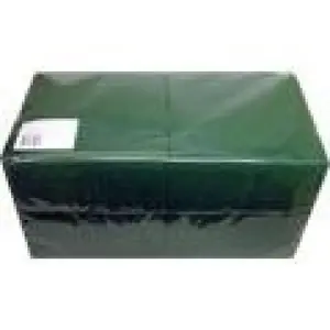 Paper napkins Lenek 33x33 cm Green 250 pcs