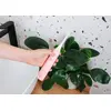 Sonic toothbrush KIDO SMILE ZK6010 Photo 12