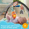 Fisher-Price 3-in-1 Music, Glow and Grow Gym Play Mat MATTEL Photo 14