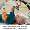 Fisher-Price 3-in-1 Music, Glow and Grow Gym Play Mat MATTEL Photo 16