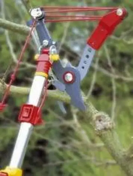 WOLF-Garten RC-VM Anvil Profi Tree Cutter Photo 4