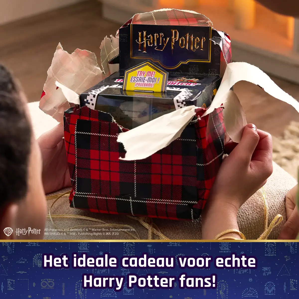 Interactive Toy Wizarding World Harry Potter Bitzee Photo 5