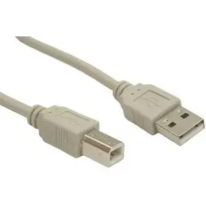 USB A to USB A cable Gembird CCUSB2AMBM10 3 m Beige