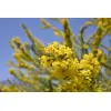 Tamron 18-300mm f/3.5-6.3 Di III-A VC VXD для Nikon Photo 7