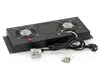 Triton RAC-CH-X21-A1 вертикальный вентилятор — 2 вентилятора, 4U Photo 1