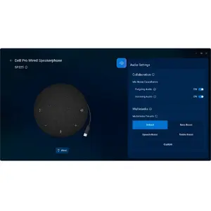 Dell Display and Peripheral Manager