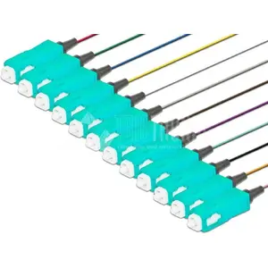 Fiber optic patch cord Lightwin PIG 50 SC-12 2.0 OM3 multicolour 2 m