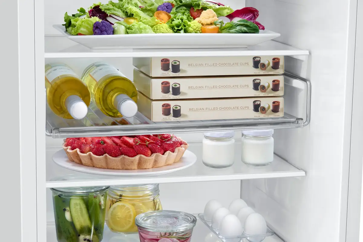 Samsung BRB70F30AEF0EO fridge-freezer Photo 15