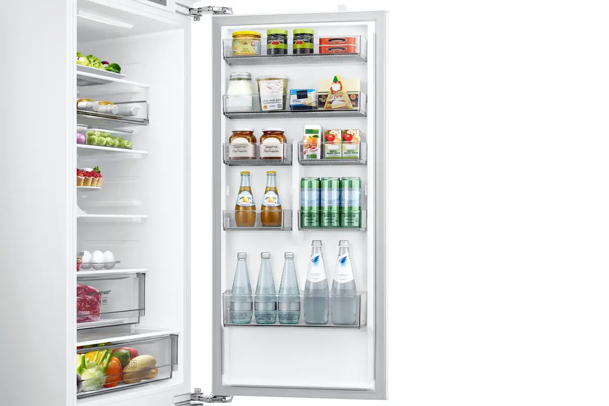 Samsung BRB70F30AEF0EO fridge-freezer Photo 16