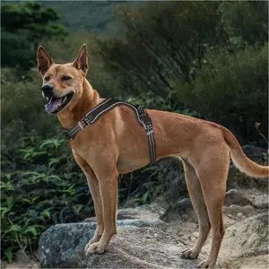 Dog Harness Kontext BK-15852, reflective, black, size XL — neck 66–92 cm, chest 74–121 cm