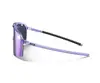 Julbo Intensity фиолетовые M 964397 Photo 2