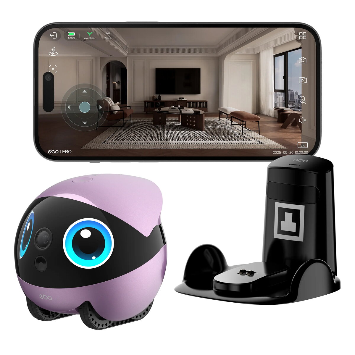Network Equipment Accessories