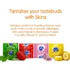 Condoms SKINS Multi Flavors Pack 16 Photo 3
