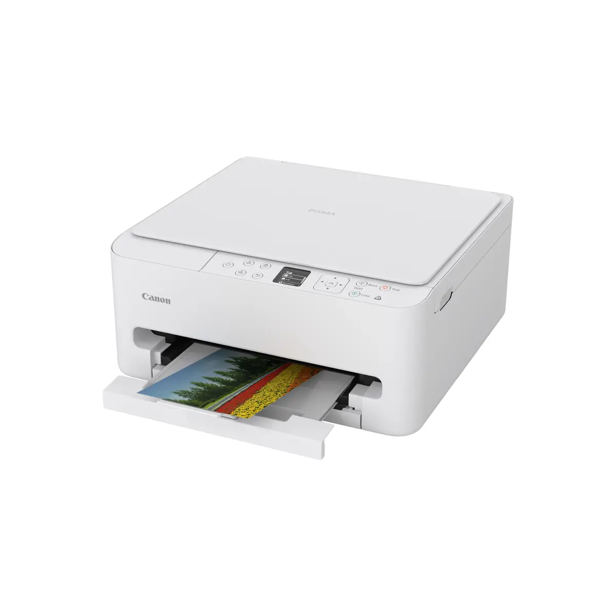 Canon PIXMA TS6550i многофункц. струйный принтер Photo 5
