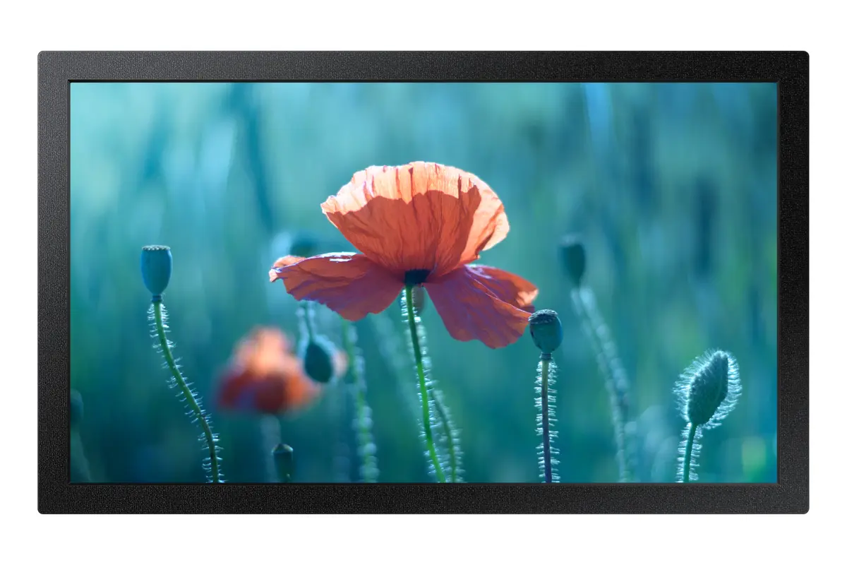Samsung QB13C 33 cm (13")