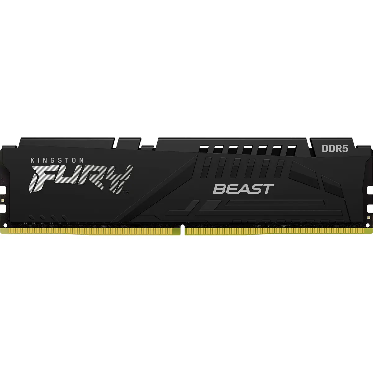 Operatīvā atmiņa Kingston Technology FURY Beast