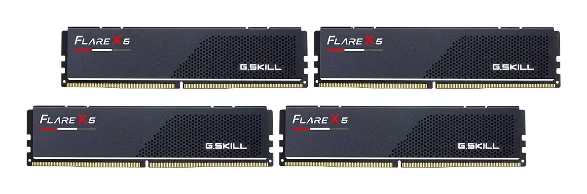 G.SKILL Flare X5 256 GB