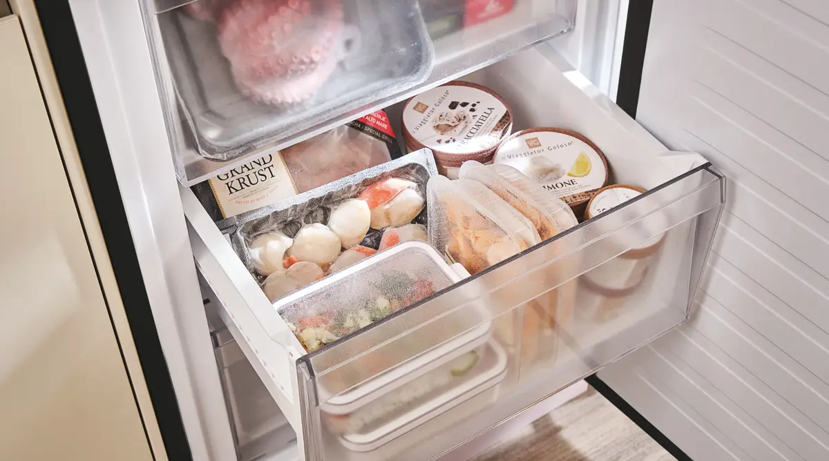 Refrigerator Candy Fresco ECN2CQTEB186 Photo 20