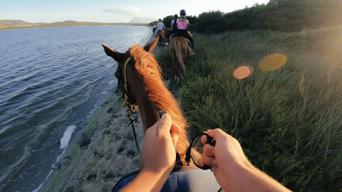Camera mount GoPro Head Strap 2.0 Photo 8