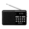 Portable Speaker Radio Sandberg FM+BT Recharge Photo 2