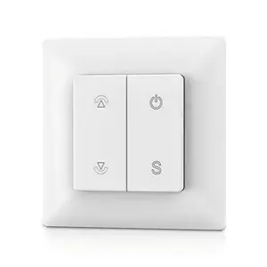 SKYDANCE PF1 RF Remote Control HS084516 — Single‑Color, 1‑Zone Wireless Controller