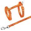 Dog/Cat Lead Trixie 4209 Photo 2