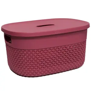 Storage box ArtFlow Deny 23×17×12 cm Red - compact plastic organizer