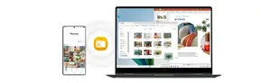 Unified Storage Share for phone and PC