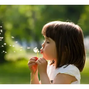 Anti-Allergy Wash & Dry Programme