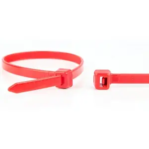 Atbrīvojams kabeļu stiprinājums WKK 11032271 Plastmasa Sarkans 100 gab 100mm 2.5mm