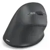 Pele Hama EWM-600R Photo 4