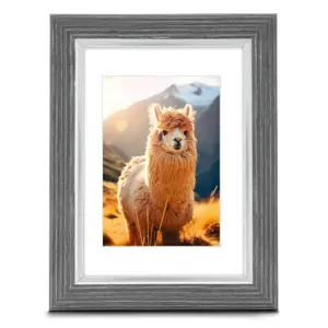 Single picture frame Hama Lima Grey Glass Plastic 186x18x236mm