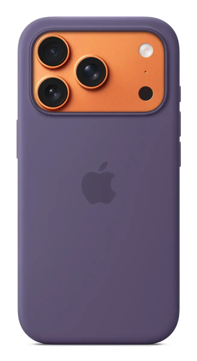 Силиконовый чехол Apple iPhone 17 Pro Photo 2