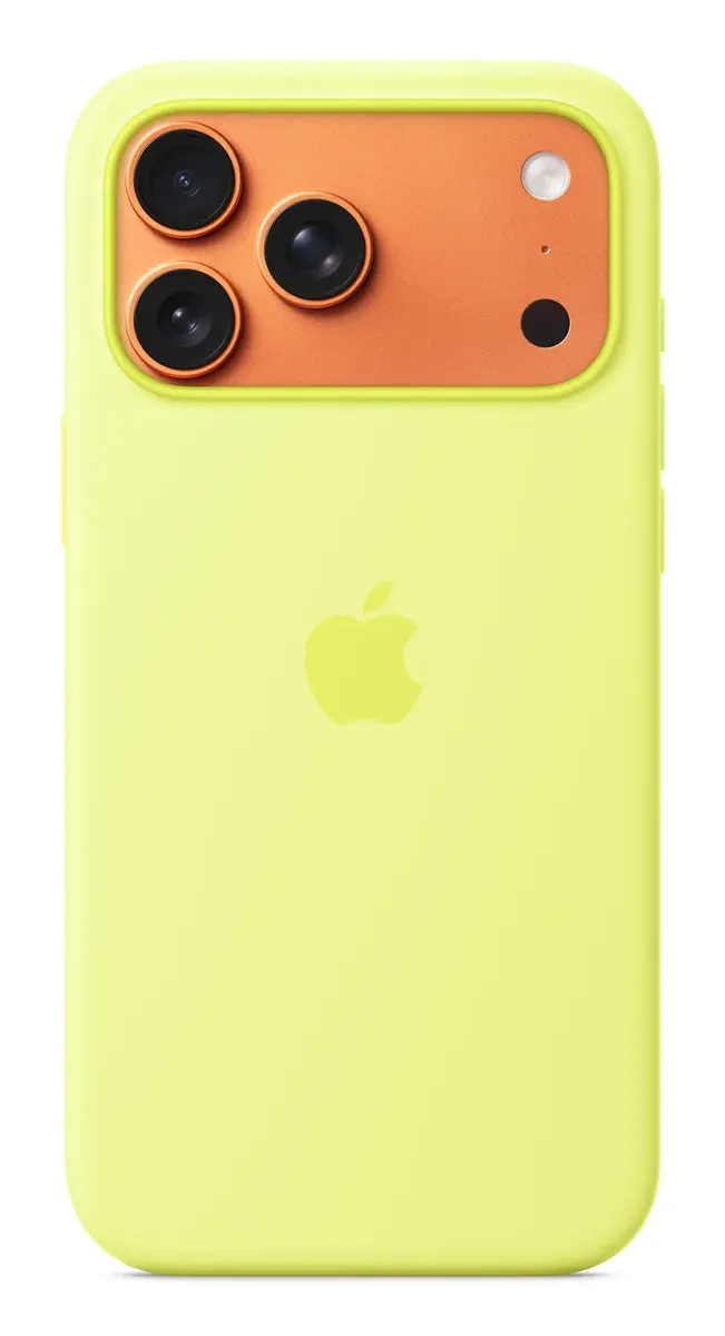 Силиконовый чехол Apple iPhone 17 Pro Max Photo 2