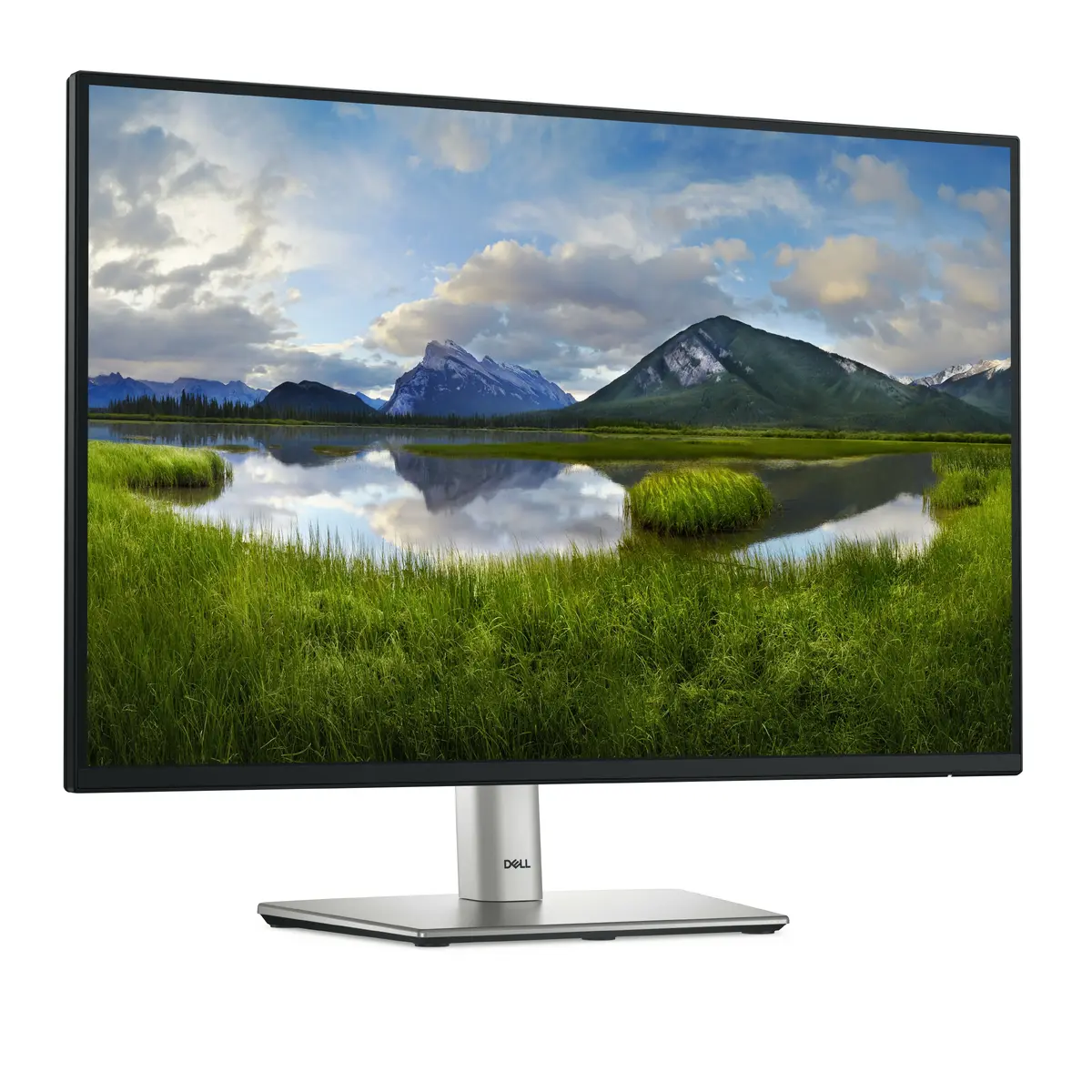 Monitors DELL P2425 Photo 3