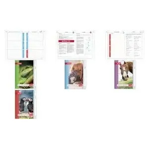 Notebook ROTH Leguan A5 Lined — 104 sheets, ruled paper, softcover