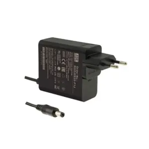 Barošanas bloks mean well NGE45E12-P1J — 45 W, 12 V DC, 3,75 A, sienas stiprinājums