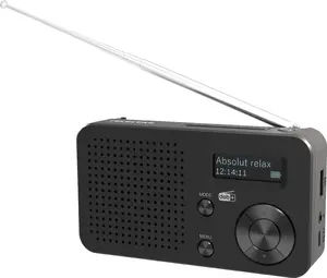 Портативное радио Telestar TOP 100 DAB+ (5700100) — чёрное, приём DAB+/FM, питание от батарей и сети