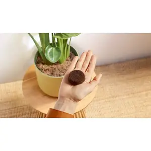 Less waste. No capsules.