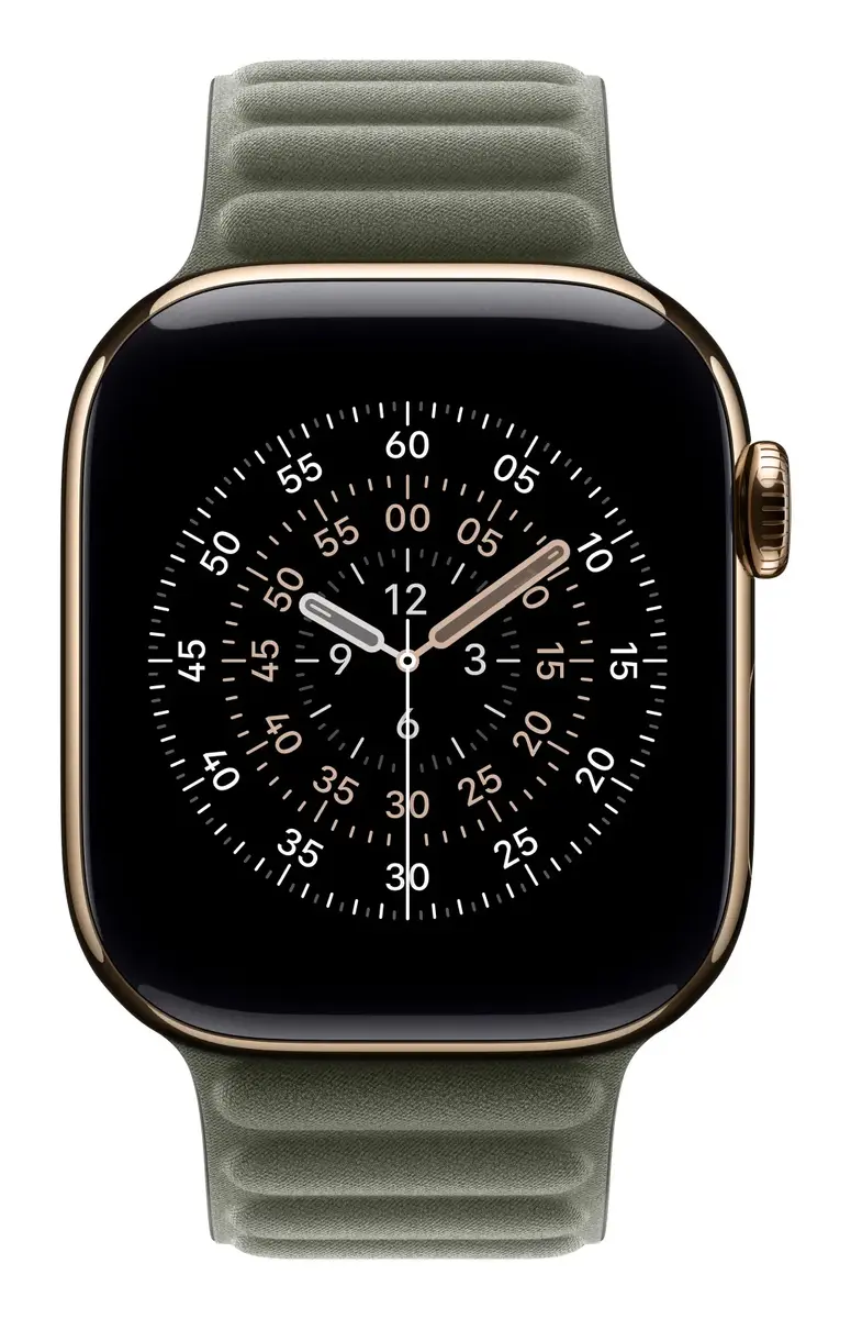 Siksna Apple 42mm Sage Grey Magnetic Link Photo 3