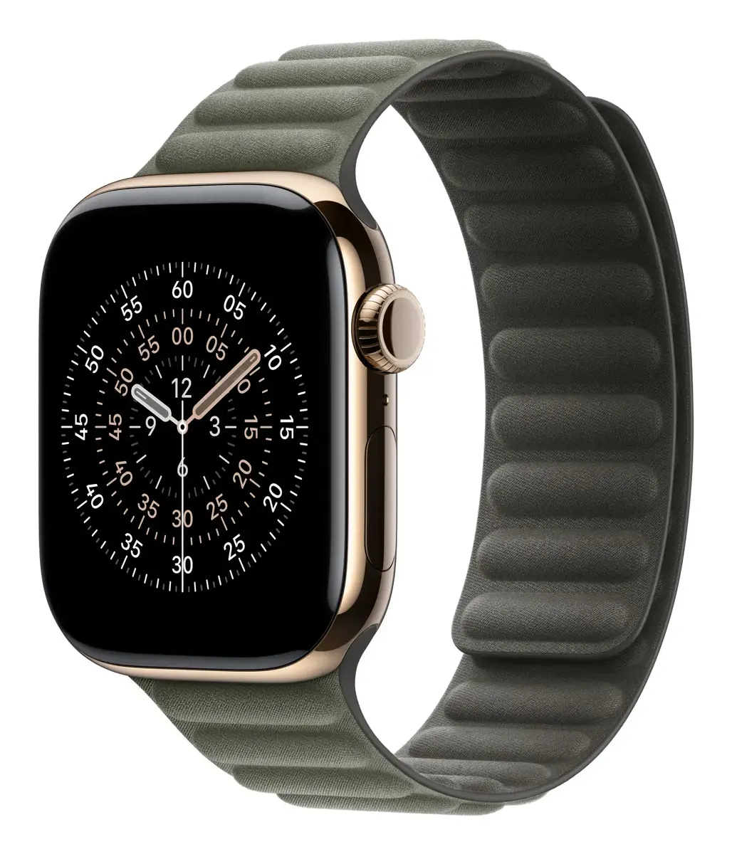 Siksna Apple 42mm Sage Grey Magnetic Link Photo 2