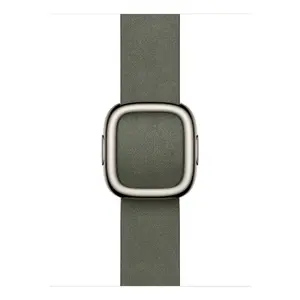 Band Apple 42mm Sage Grey Modern Buckle Small Grey