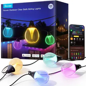 Outdoor string lights Govee H7025 RGBICW 14.63 m Wi‑Fi 2.4 GHz