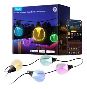 Govee Уличная гирлянда с прозрачными лампами H7025CB1 Смарт Wi-Fi Bluetooth 15 м Черный Прозрачный