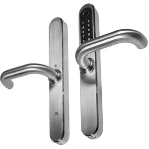Handle with access control Eura ELH-30H4 Silver — door handle with electronic access control, silver finish